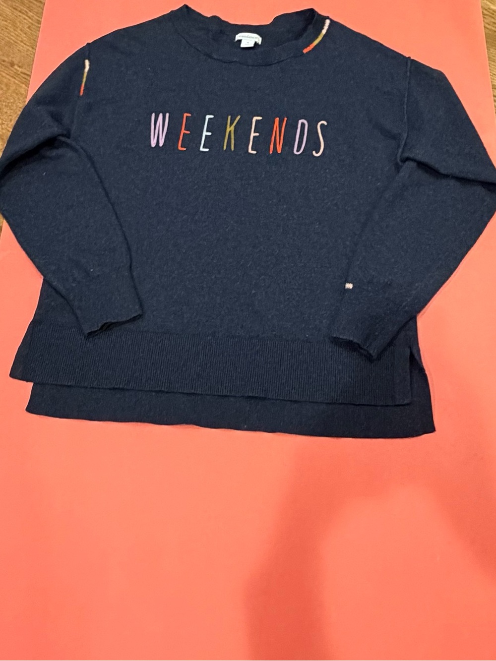 Sundance Weekends Sweater Wool Blend Embroidered Cozycore Blue Women's M